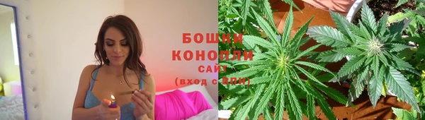 молекула духа Заводоуковск