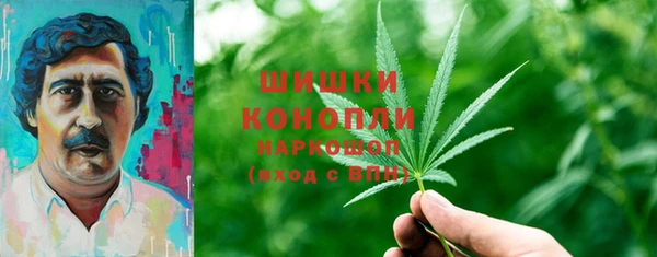 молекула духа Заводоуковск