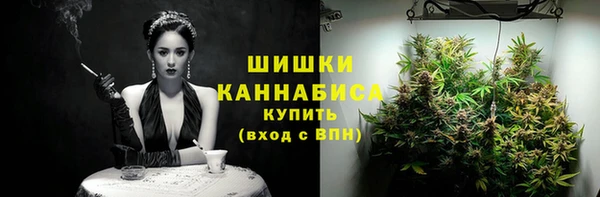 молекула духа Заводоуковск