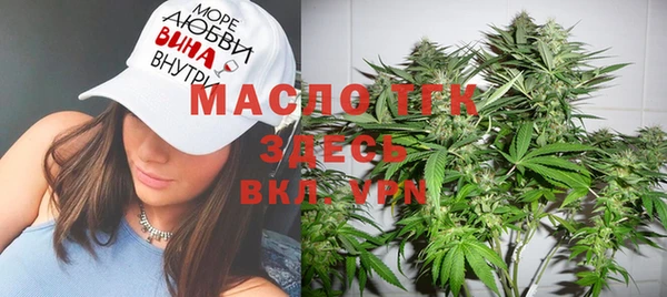 молекула духа Заводоуковск