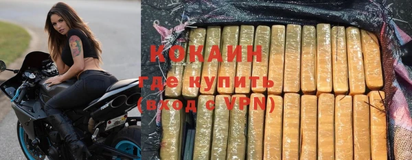 молекула духа Заводоуковск