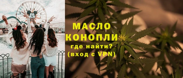молекула духа Заводоуковск
